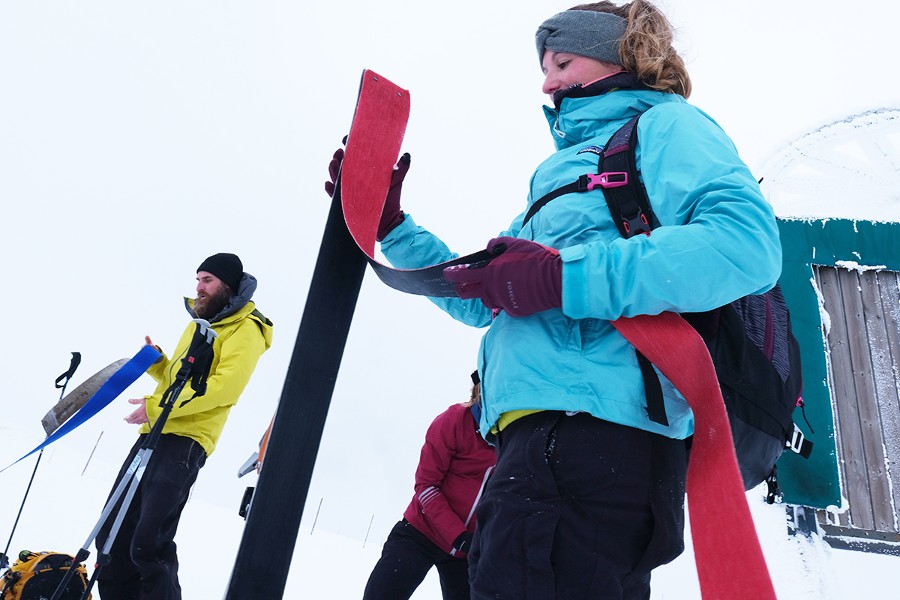 Les spatules, en ski de rando, sont plus légères qu’en ski alpin. À la montée, les randonneurs les recouvrent de « peaux de phoque », en synthétique, pour ne pas glisser vers l’arrière.